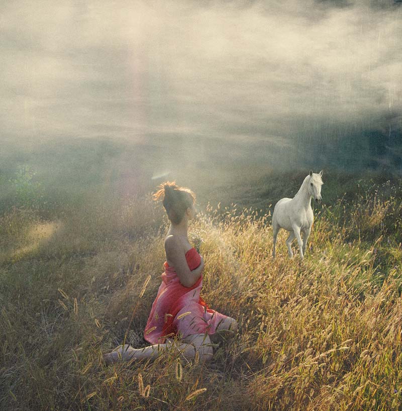 © Irina Roshupkina - About a white horse...