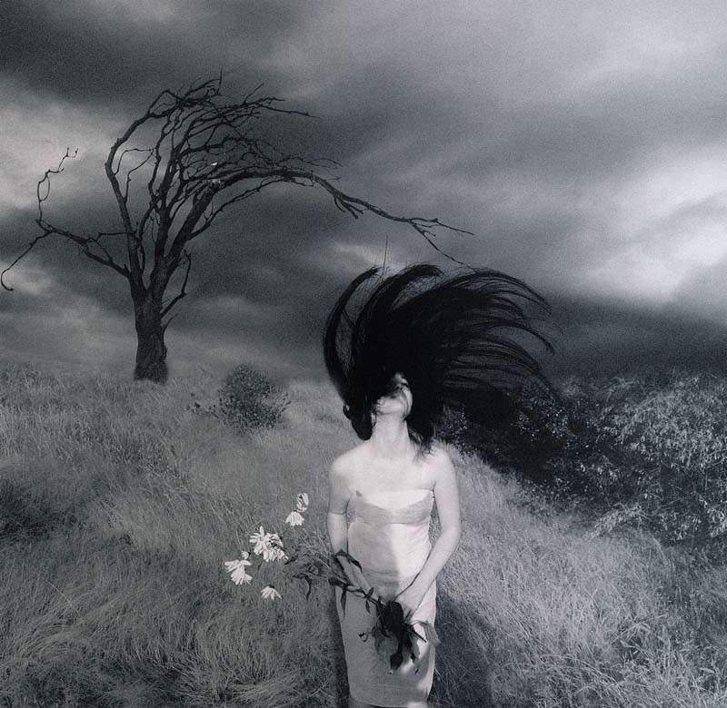 © Irina Roshupkina - Storm wind...