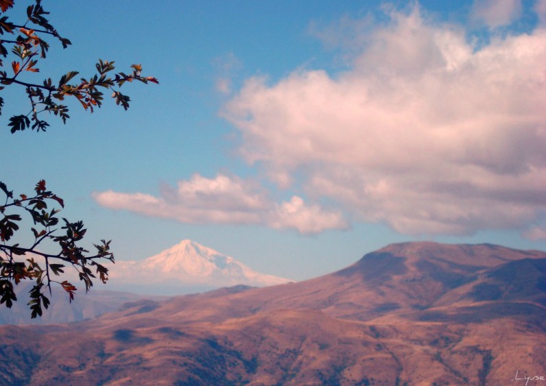 © Lyuse - Mount Ararat with a Hat