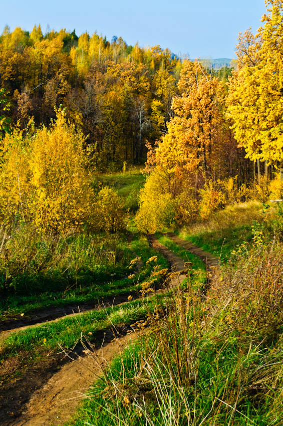 © Sergey Ustinov - Road into the Gold