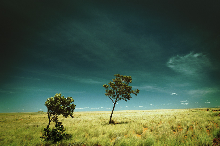 © Fabrice Boutin - Blue Africa - Madagascar highlands