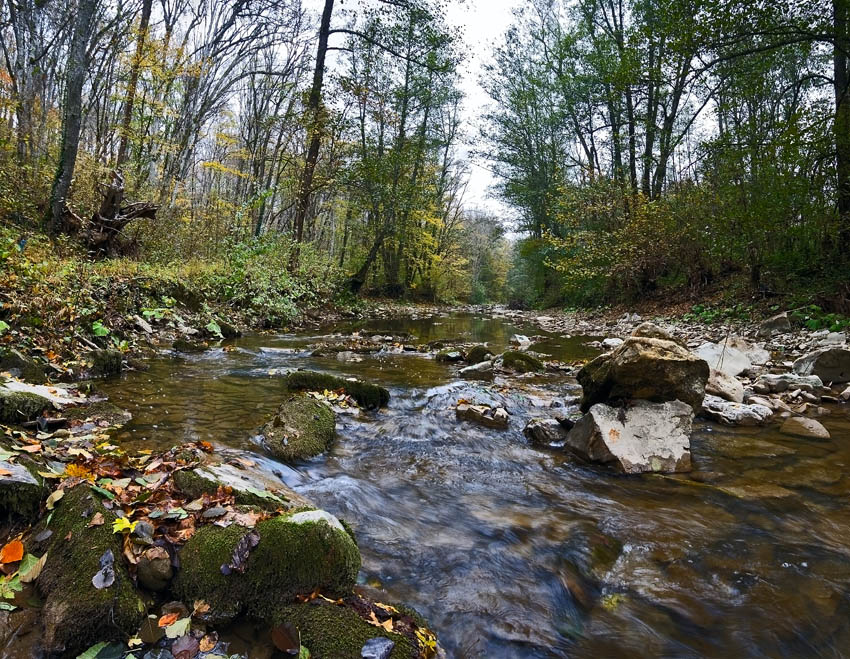 © alexej pavelchak - Autumn in Bezeps river