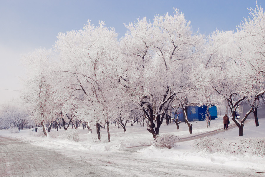 © Oleg Milyutin - Snow Rhapsody-2