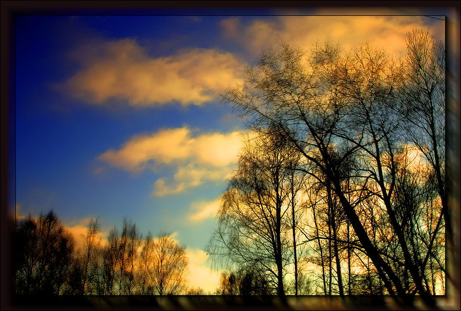 © Nonna Belonozko - Мороз и солнце...