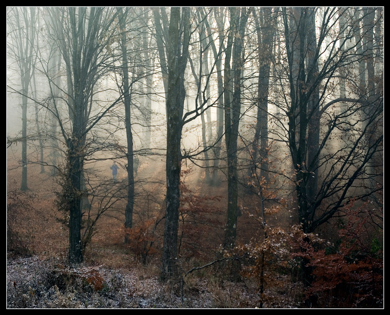 © Leonard Petraru - end of autumn
