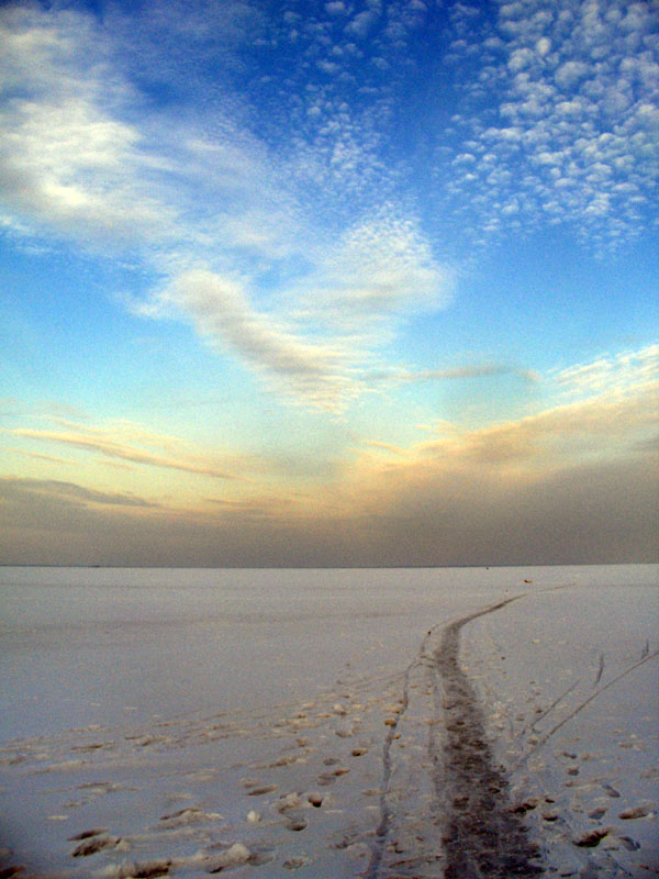 © natalia zorina - зимний горизонт