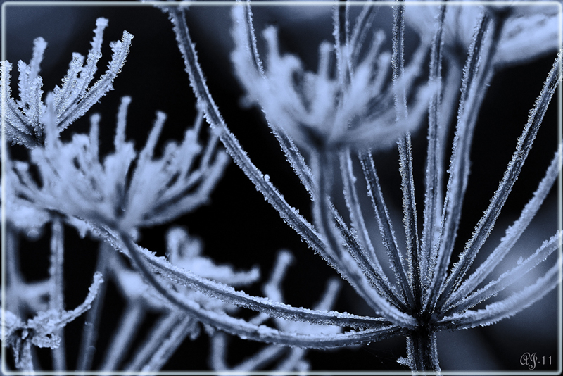 © Aina Jerstad - Frost Blue