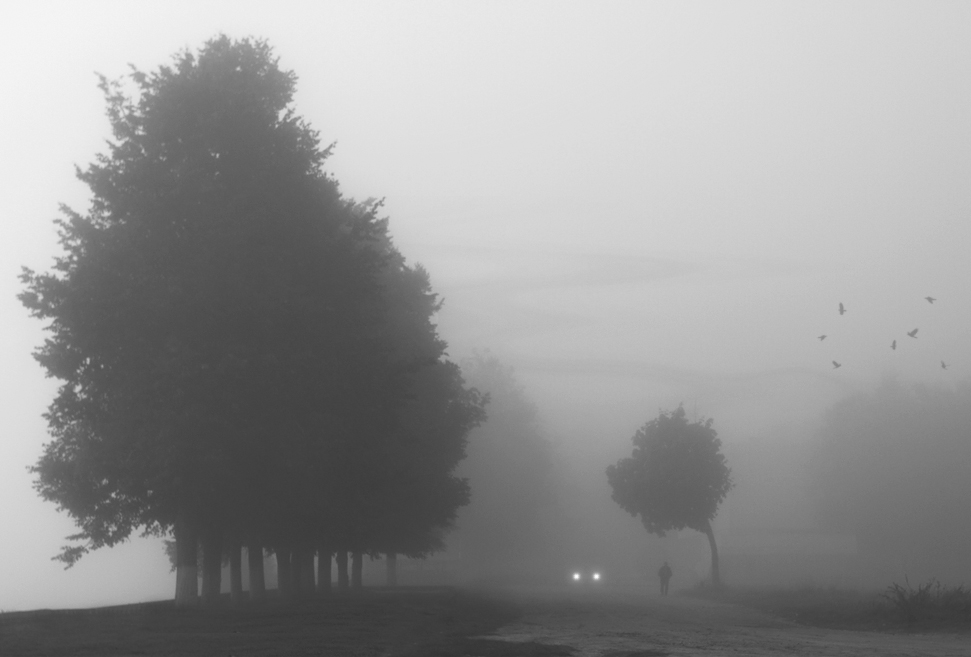 © Matvei BELYI - Где осень спуталась с туманном...бреду