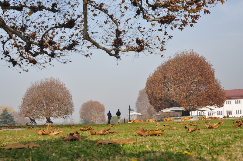 © Susheel Pandey - Autumn at its best