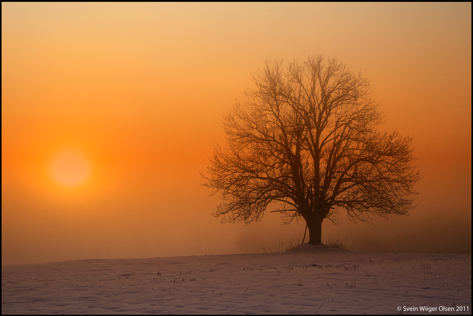 © Svein Wiiger Olsen - Sunrise in December