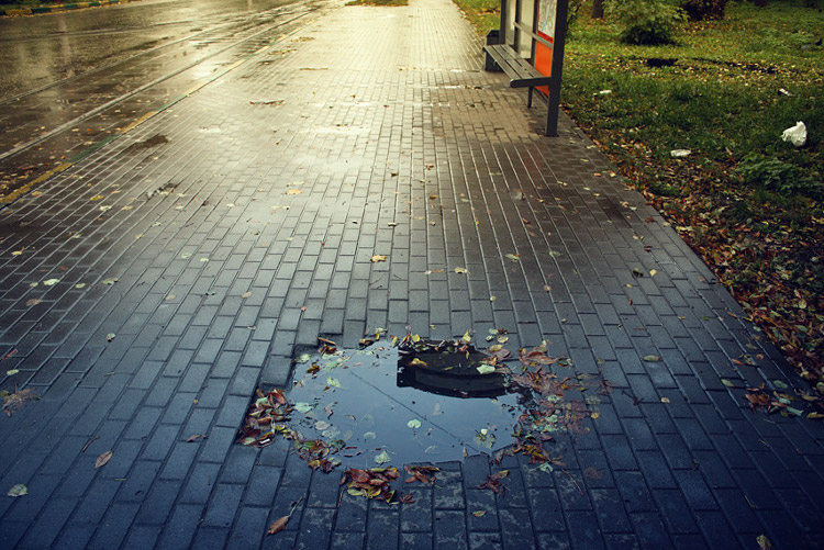 © Nickolay Chechin - --
