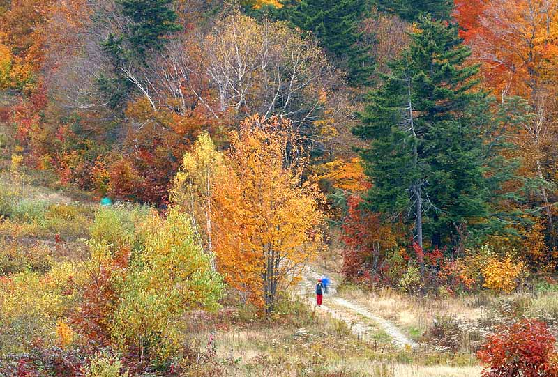 © Aleksey Myagkov - Осень в Вермонте * Vermont hiking