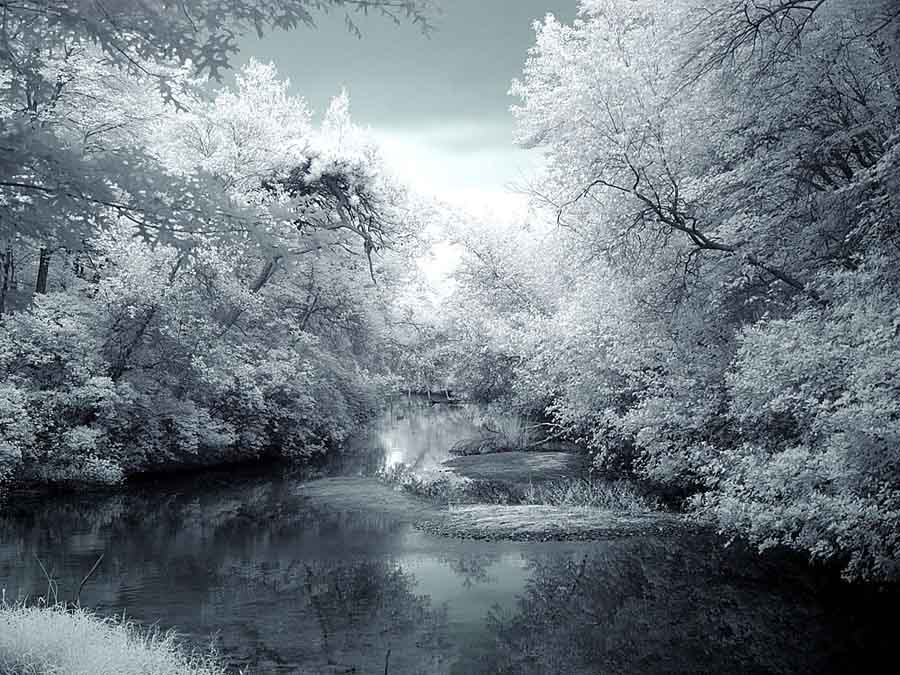 © Aleksey Myagkov - Белмонт Лейк Парк -*- BEelmont Lake State Park