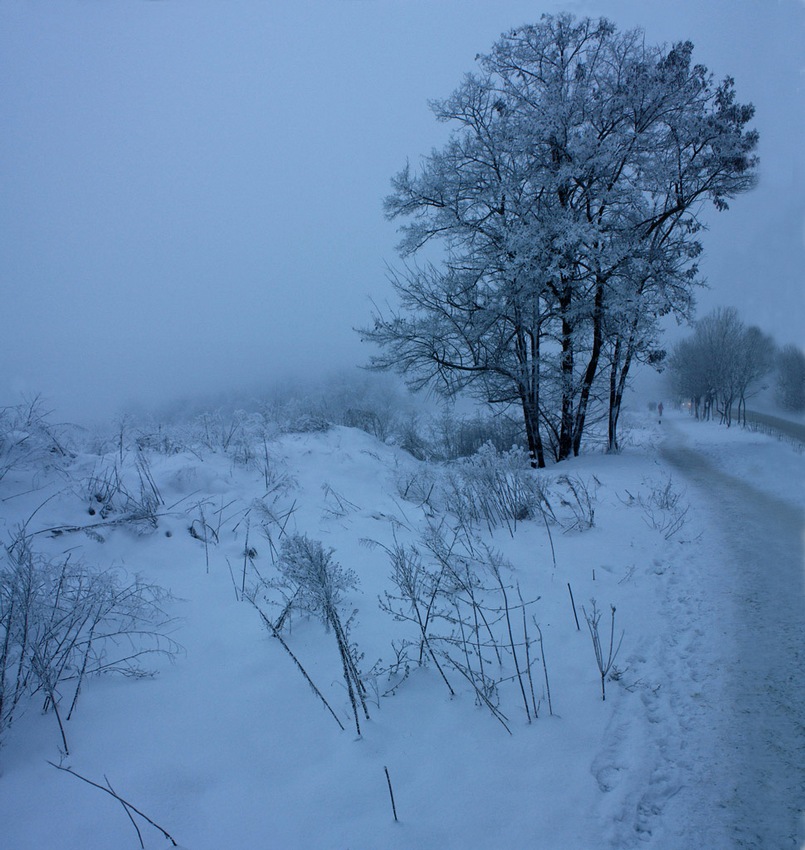 © Lena Cherkes - winter morning (2)
