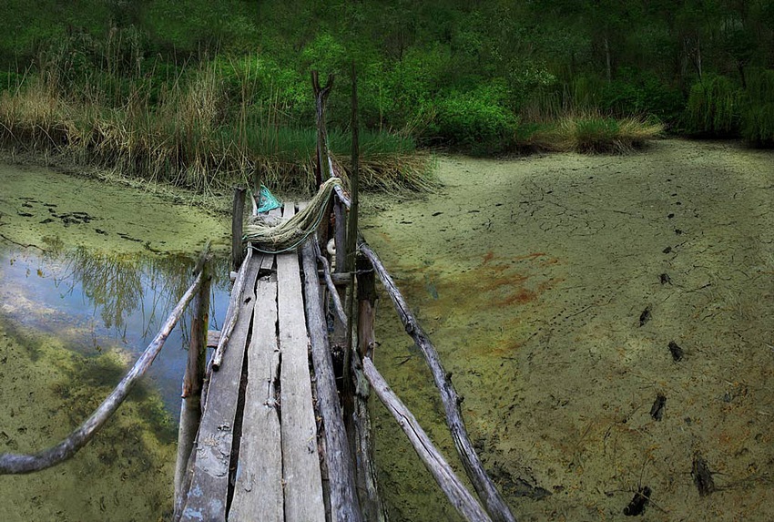 © Lena Cherkes - dried bog