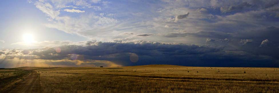 © Alexey PLAKHOTIN - Steppe