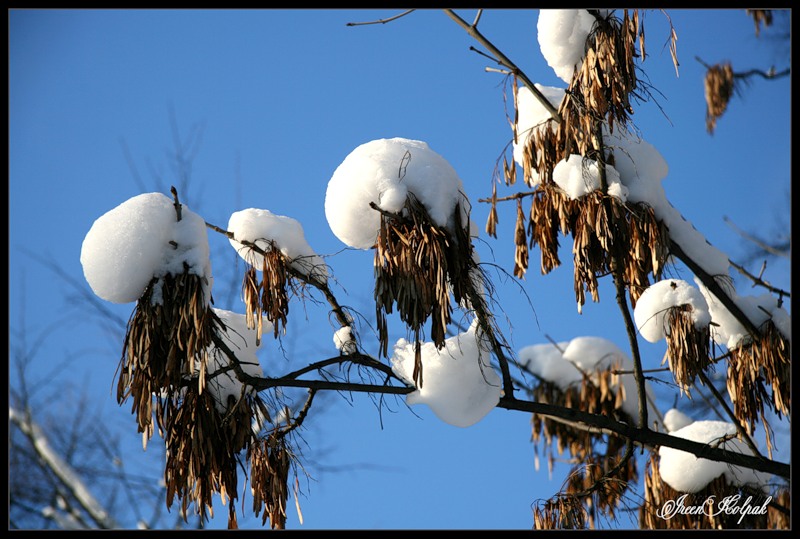 © Ireen Kolpak - Snow, snow, snow...