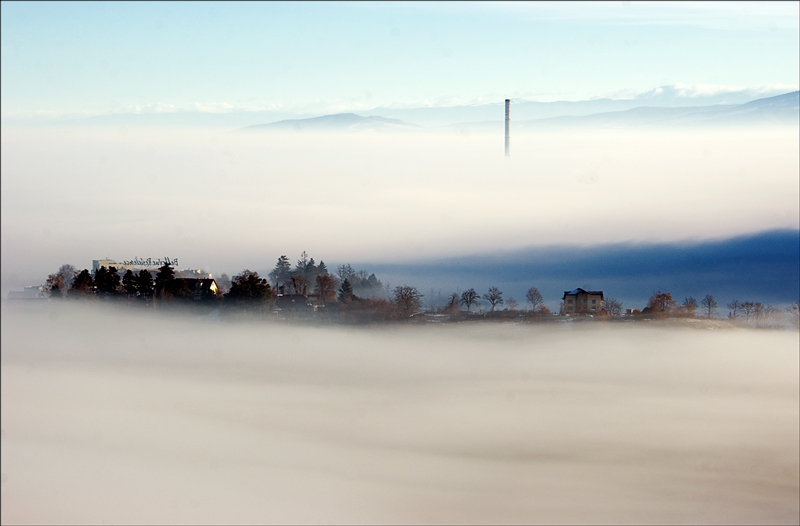© Leonard Petraru - ..fog..