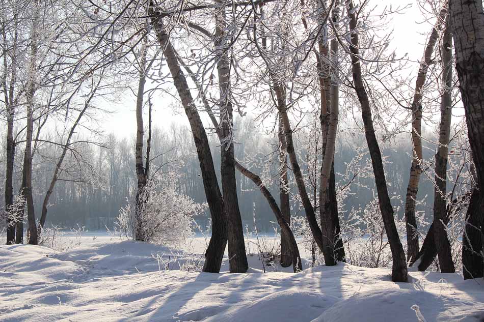 © Анатолий Семёнов - Зима 2012 г.