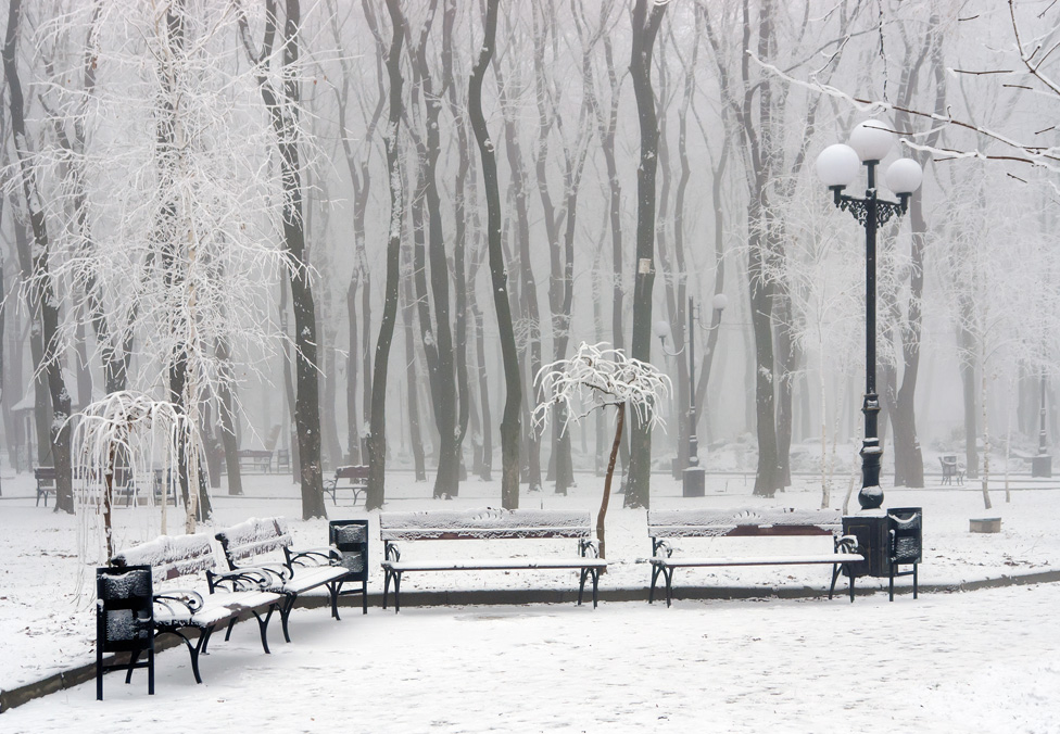 © Oleg Milyutin - Winter at the park
