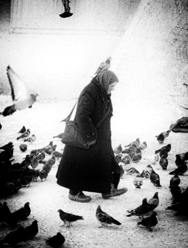 © Kirill Shezlonge - Leningrad 1943