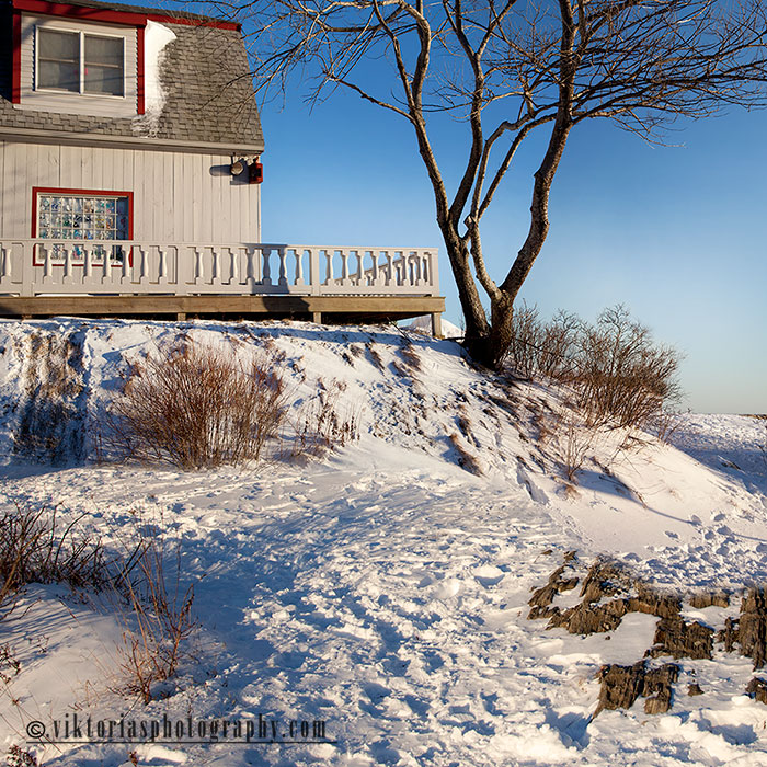 © Viktoria Mullin - Maine in winter
