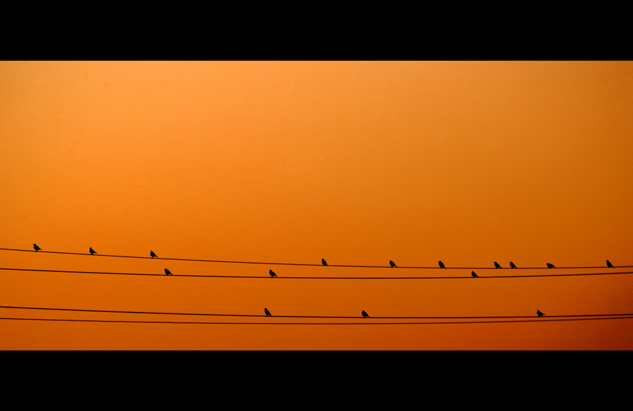 © Leonard Petraru - sunset symphony