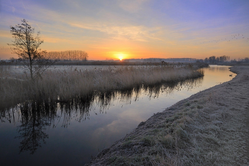 © johny hemelsoen - The colors of a winter morning.