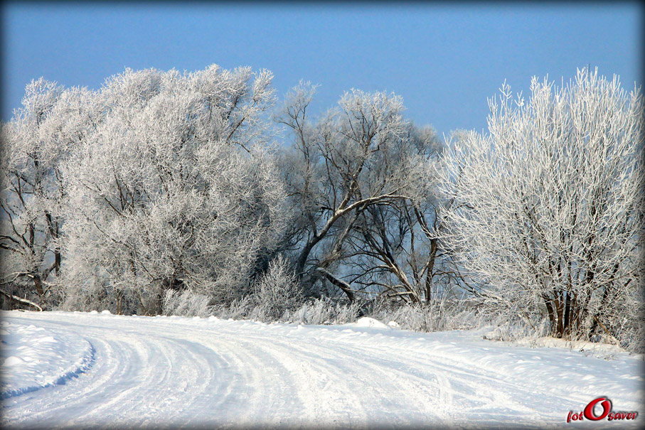 © Fotosaver - Russian winter