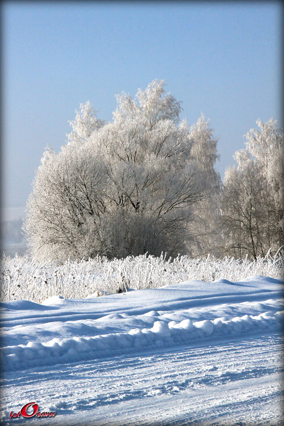 © Fotosaver - Russian winter