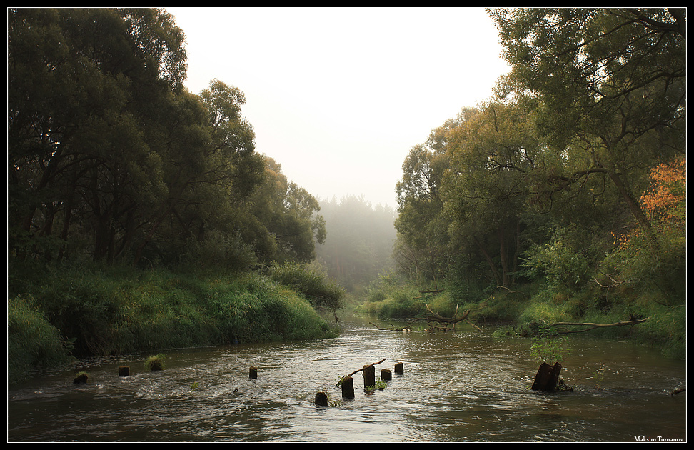 © Maksim Tumanov - The Road of Suffering