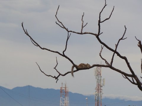 © Vivek Sharma - On Top of the World...