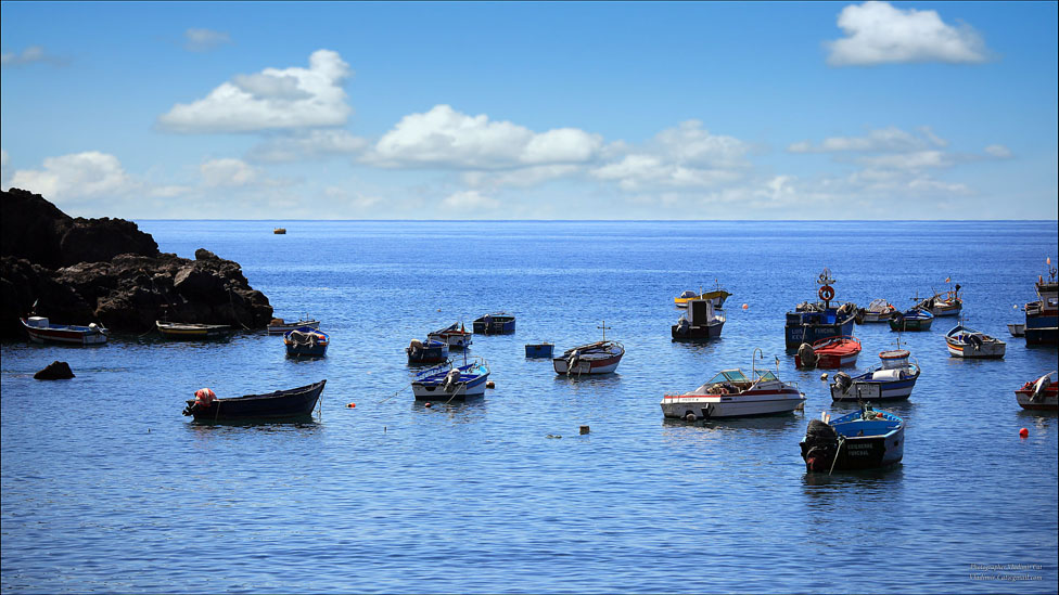 © Vladimir Cat - Fishing village Camara de Lobos (Madeira