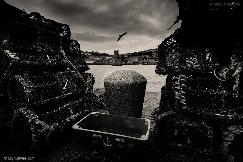 © Glyn Davies - A Bird Between Pots, St Ives