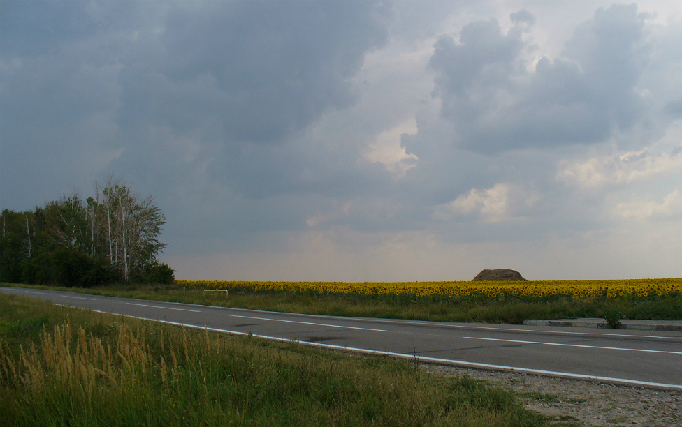 © Artur Gerasimenko - Near the road