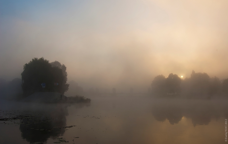 © Ondrej Tichy - Foggy morning