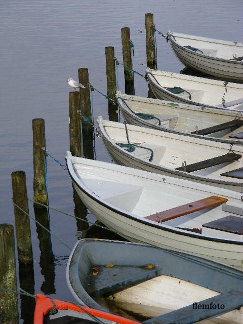 © flemming rasmussen - Boat