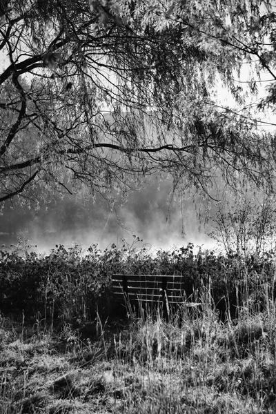 © Jean-Francois Dupuis - Bench