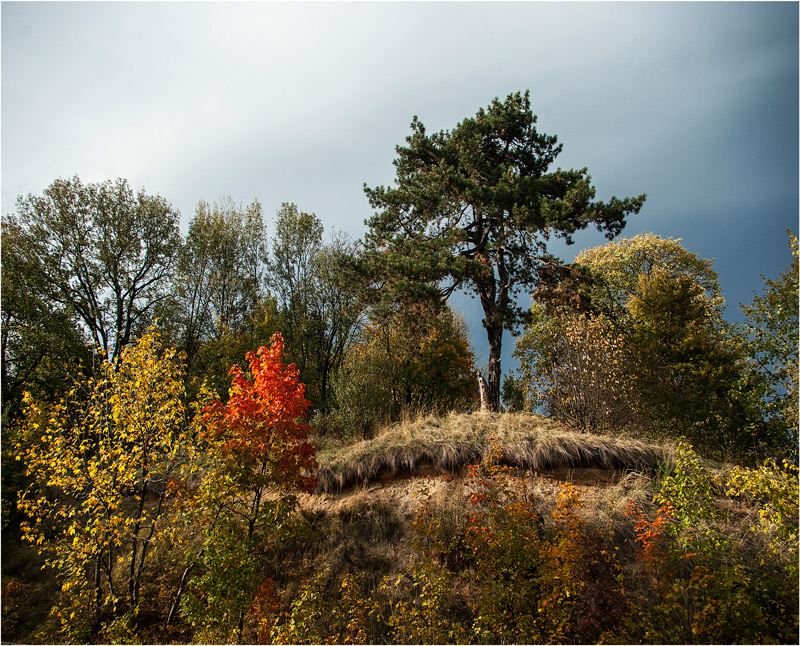 © Leonard Petraru - autumn colors