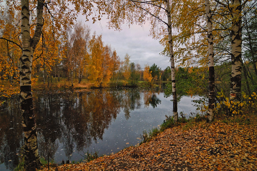 © Denis Chavkin - Осень