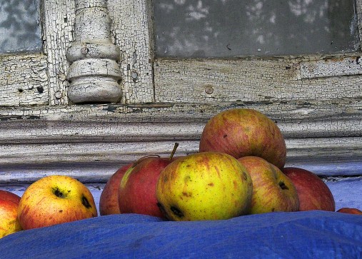 © Nicolae Sbiera - apples