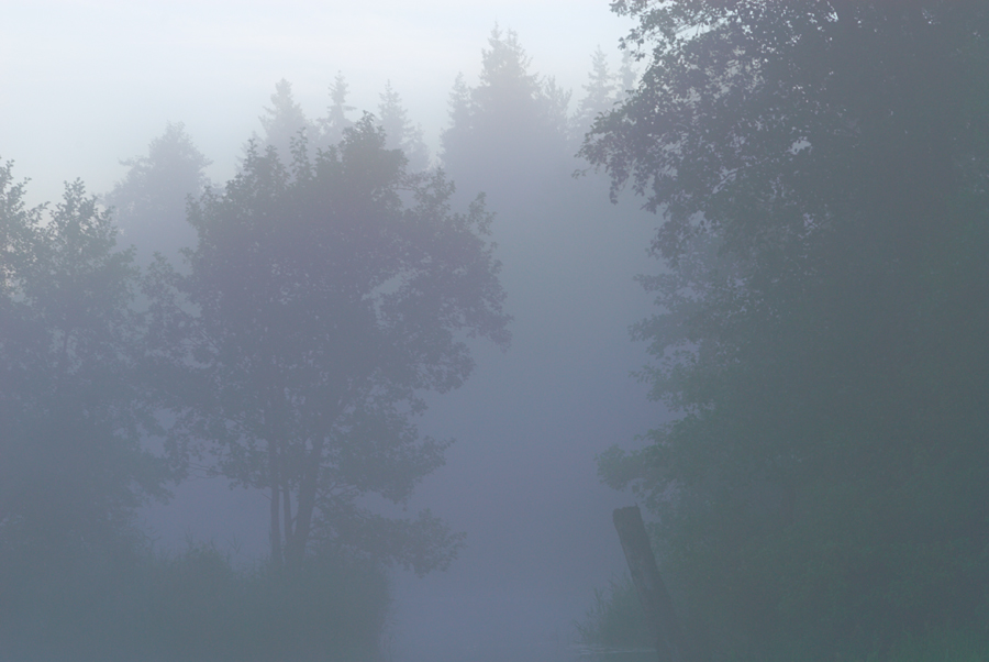 © Sergey Semyashkin - fog on the river