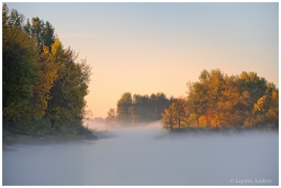 © Andrey Lepilin - Misty river