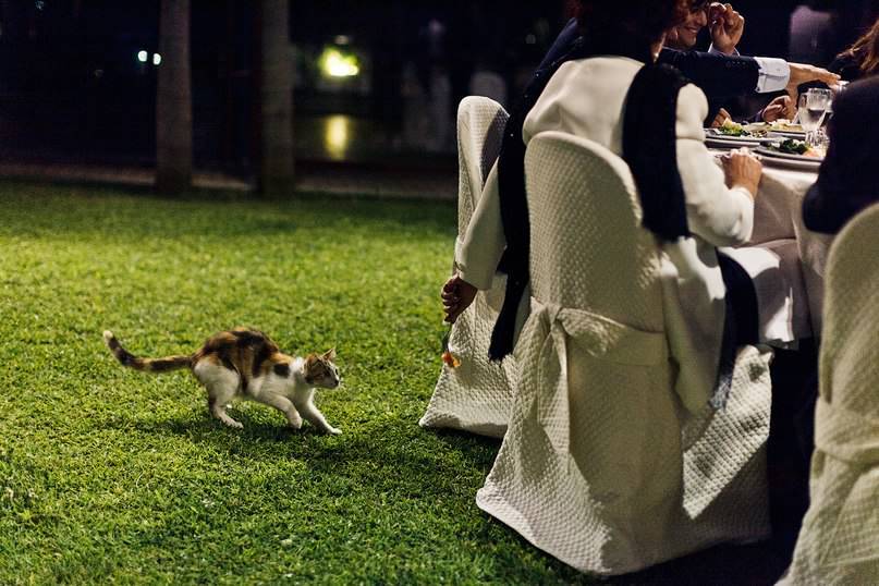 © Andrey Nastasenko - Wedding foto