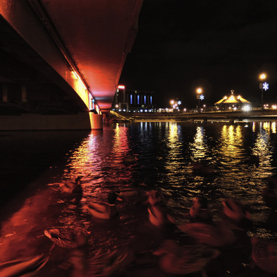 © Jean-Francois Dupuis - Night scene