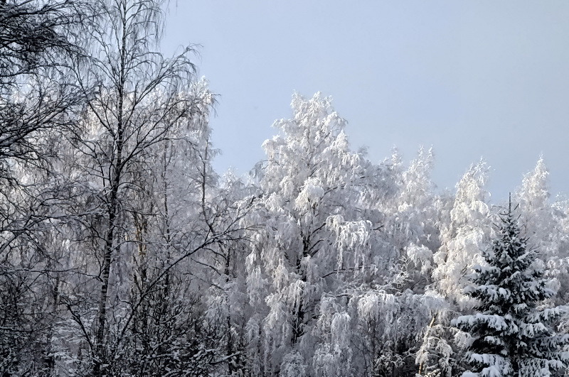 © Vladimir Khromov - Зима, январское утро.