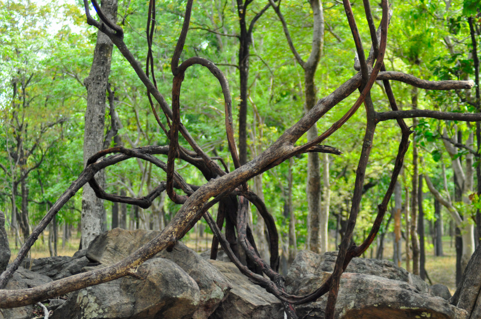 © Susheel Pandey - Twists and Turns Of Life.