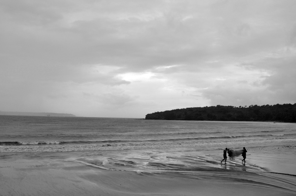 © Susheel Pandey - An Evening Of Calmness And Serenity.