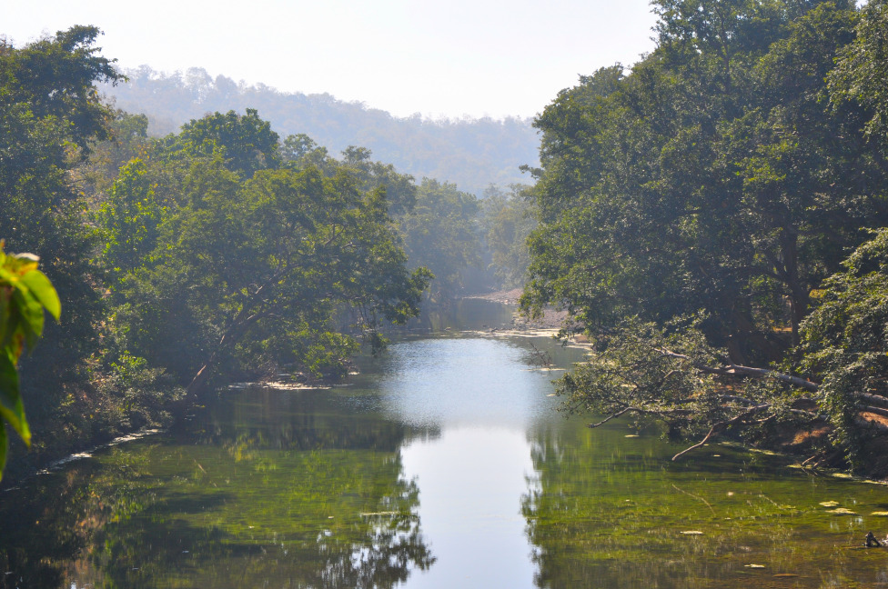 © Susheel Pandey - Reflection