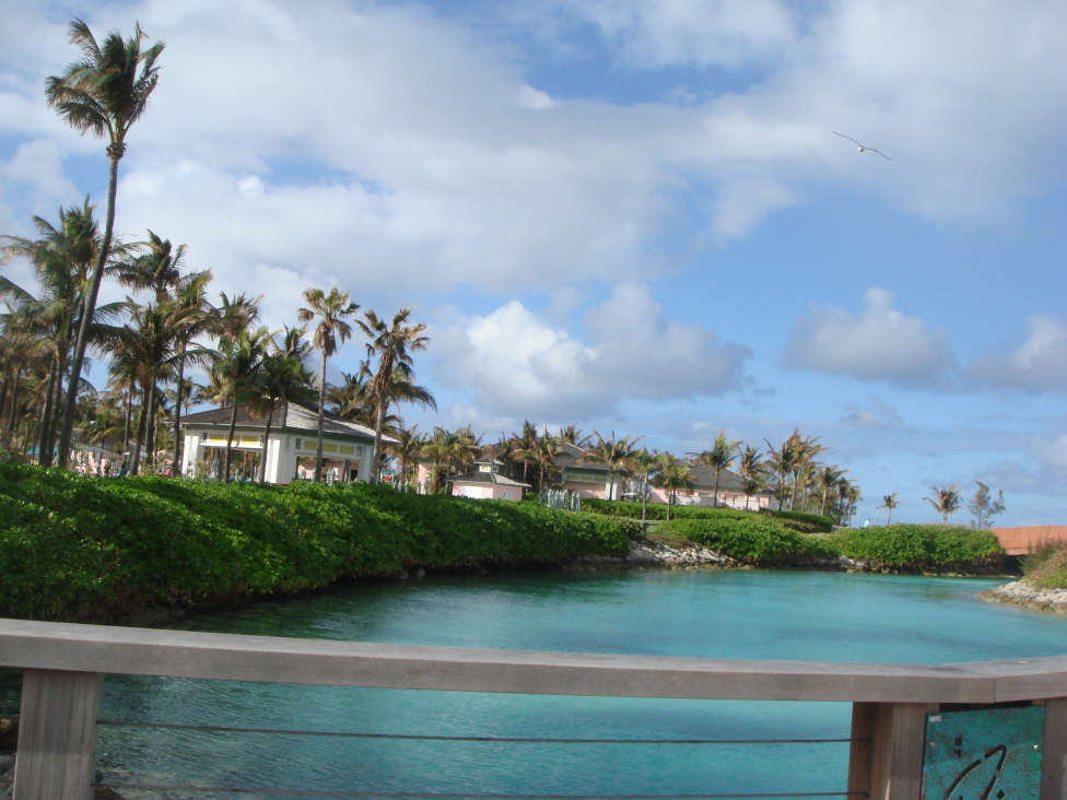 © Ani M - Nassau Bahamas